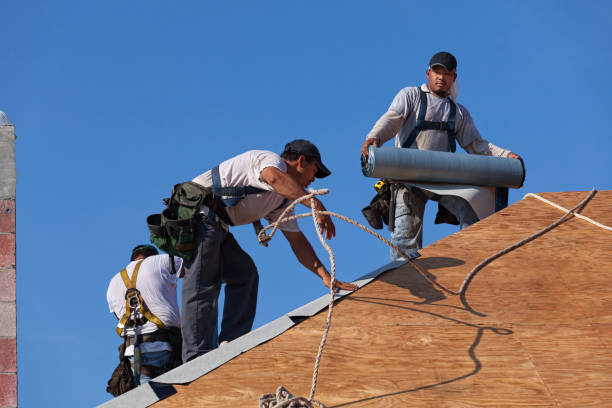 Best Roof Gutter Cleaning  in Baxter Springs, KS